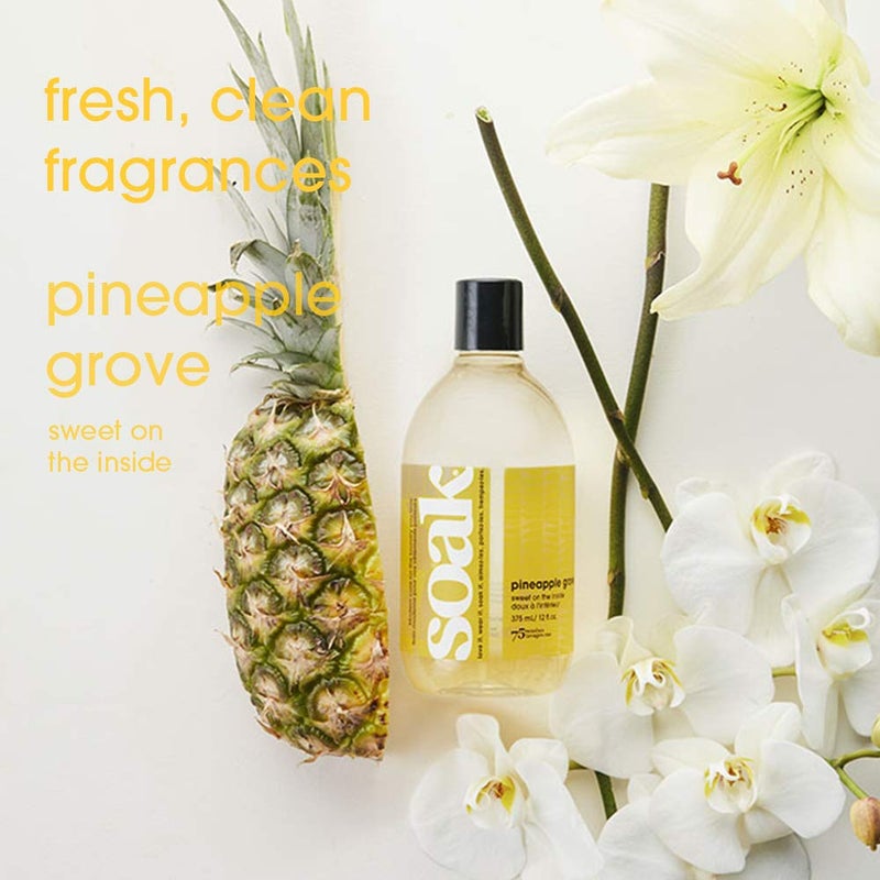 Soak Laundry Soap - No Rinse, Plant Derived Hand Wash Detergent - 375 ml / 12 fl. oz, 75+ Washes (Pineapple) - Image 2